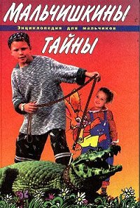 Мальчишкины тайны - Вера Иванова - Лабиринт